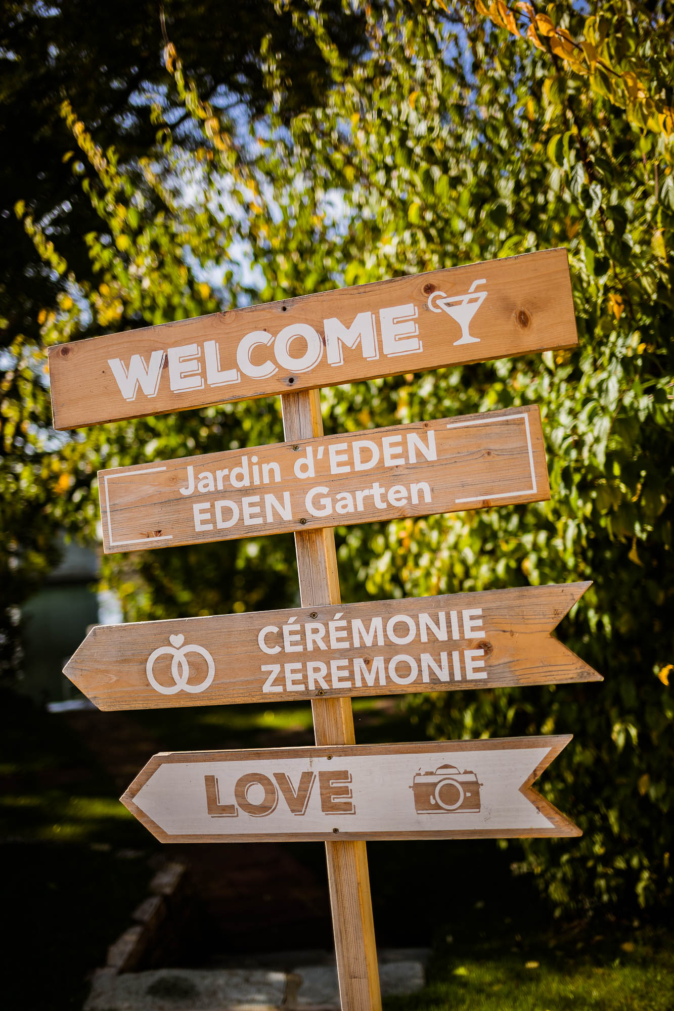 Export x3 5D4 9117 Hochzeit 2019 Tatjana und Hermann